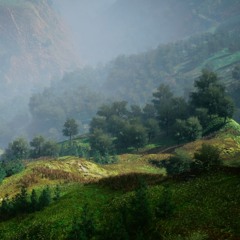 Forest Strings