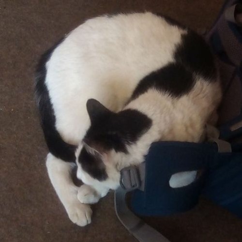 Random shit from 2016 remastered in 2020