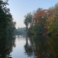 Shri Chakra Raja - Reimagined (Violin Arrangement)