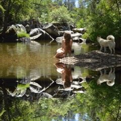 Back Through The Heart (Prod. by Luchador)