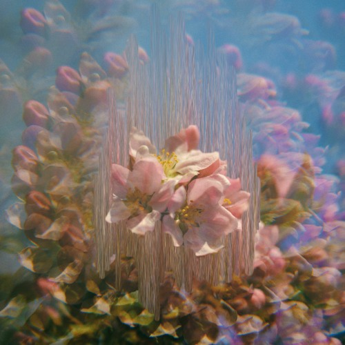 Daydream Waves