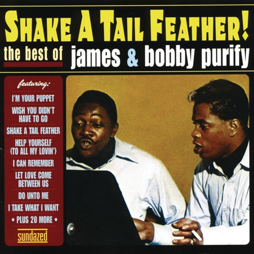 Shake a Tail Feather