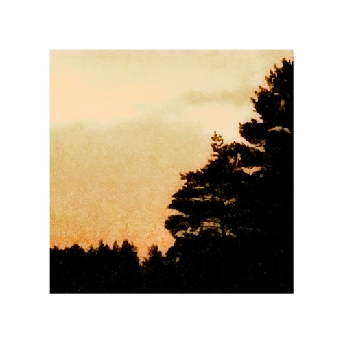 Lookamor - Forest