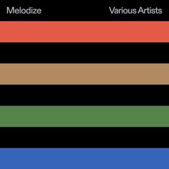 PREMIERE: Undo & Casiowaves – Remote Control [Melodize]
