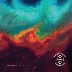 Psychedelic Porn Crumpets - Denmark Van Gogh & Gone