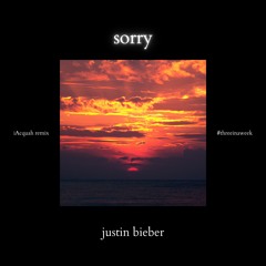 Justin Bieber - Sorry (TikTok Remix)