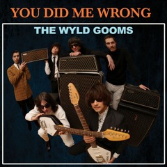 WYLD GOOMS - "You Did Me Wrong"