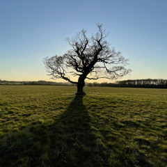 Dark Hitech [DJ SET] Halloween 31.10.21 .wav