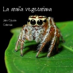 La Araña Vegetariana de Jairo - Ojeda - Colombia