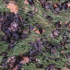 Cold Pizza w/ Stud1nt 100523