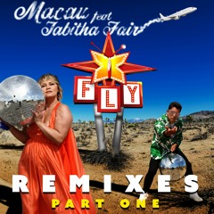 Fly (Bruno Knauer Club Mix)