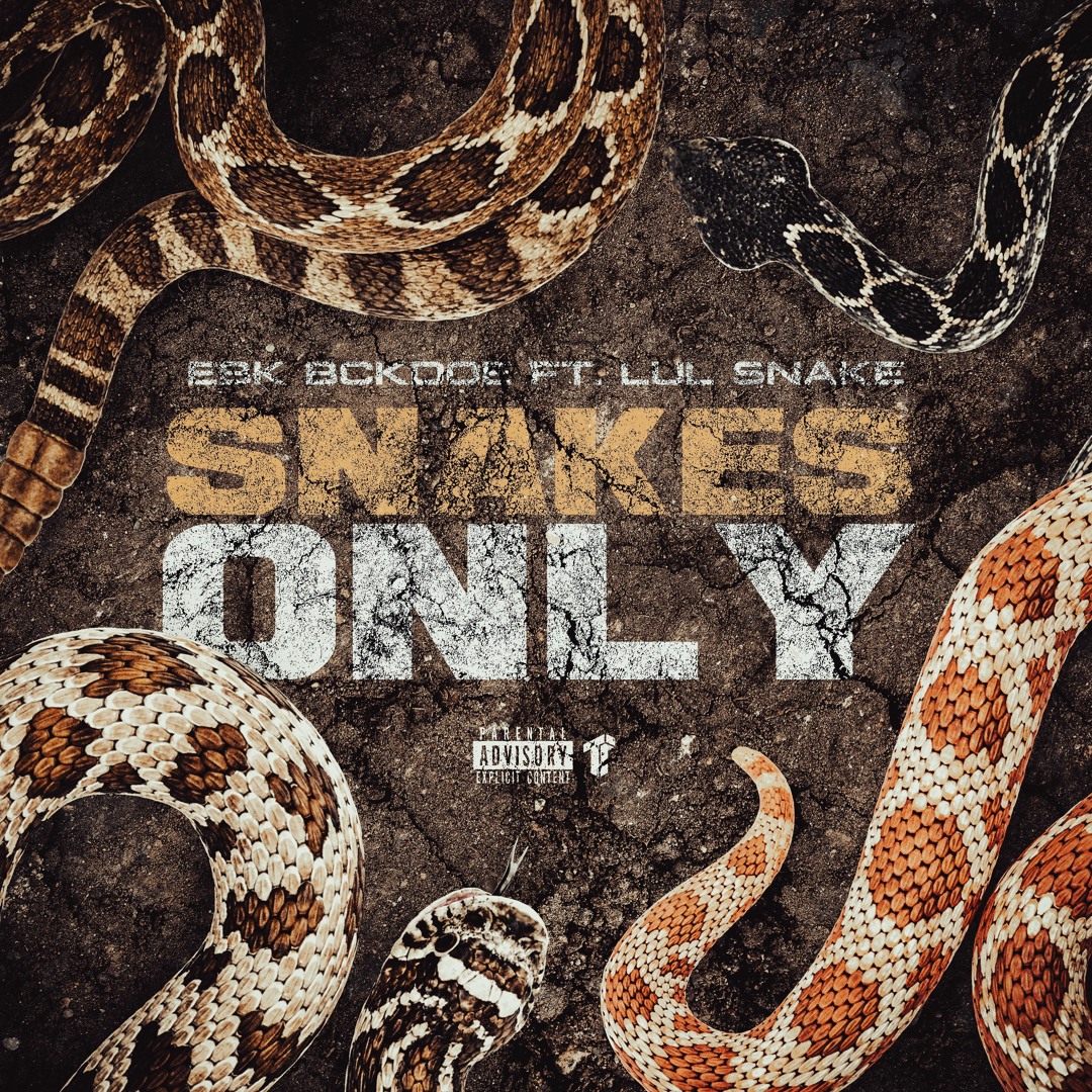 Stream EBK Bckdoe ft. Lul Snake - Snakes Only [Thizzler Exclusive