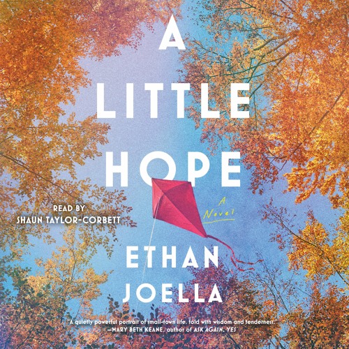 A LITTLE HOPE Audiobook Excerpt