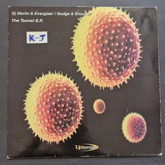 Nudge & shouter - Trip To Unity (Hard Trance)