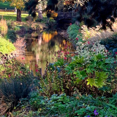 Enfantine XII :le parc en automne