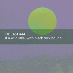 SESSIONDIGGER PODCAST #44 - Of a wild lake, with black rock bound