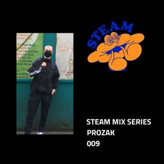 STEAM Mix Series - 009 - Prozak