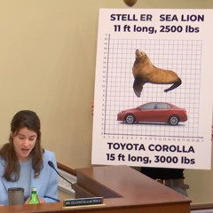 993 - From the Columbia River to the Sea feat. Andrew Hudson (12/8/25)