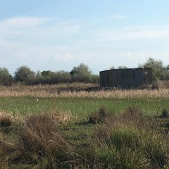 said the farmer to the cow