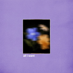All I Want