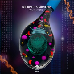 Choopie & Sharkieboy - Moon In The Window