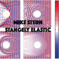 Mike Stern - Strangely Elastic