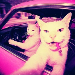 • DJ HrdCtrl – Full Speed Bounce (165 BPM)