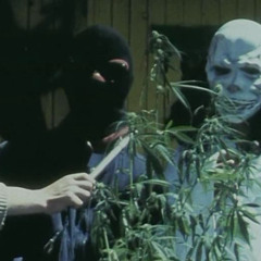 BLAZED OFF A SACK