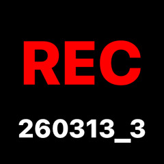REC_20260313_3.wav