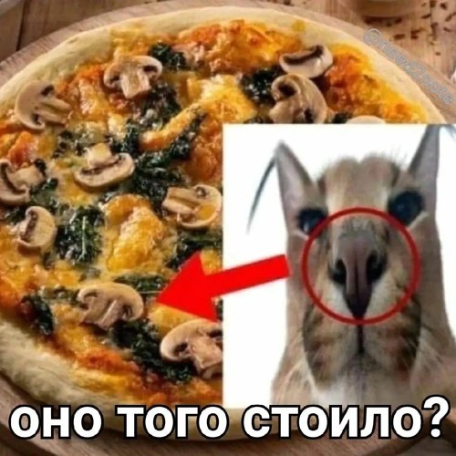 cupsize - ня. пока..