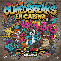 olmedbreak in sesion namber 2.wav