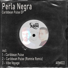 Perla Negra - Caribbean Pulse (Original Mix)
