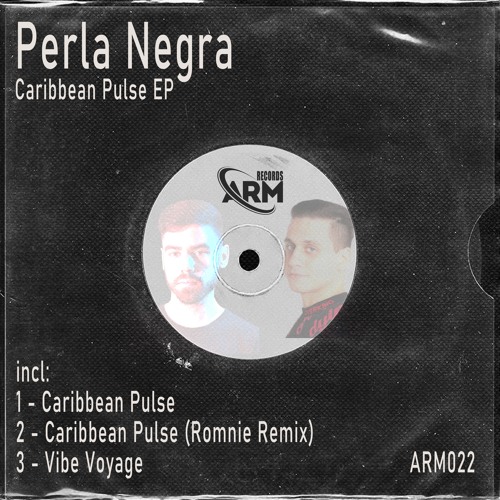 Perla Negra - Vibe Voyage (Original Mix)