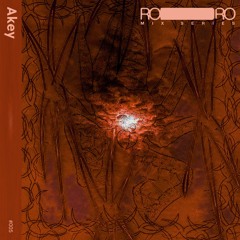 ROIRO Mix Series #005 - Akey