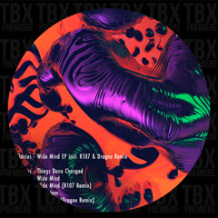 PREMIERE: Flavius - Plum Jam (Dragne Remix) [reActive Lab]