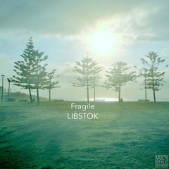Fragile - LIBSTOK (Project by Frank Iengo)