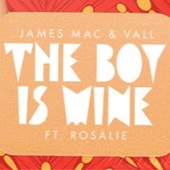 James Mac & Vall ft Rosalie - The Boy Is Mine  (Gregorius edit)