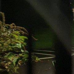 coming back w/ yung axstn (prod iof x imnotokay)