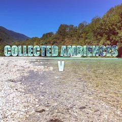 CA5 Preview Merged