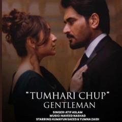 Tumhari Chup | Gentleman | Atif Aslam | NewSong OST