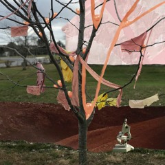 paszka - Cauliflower (feat. Kacha Kowalczyk)