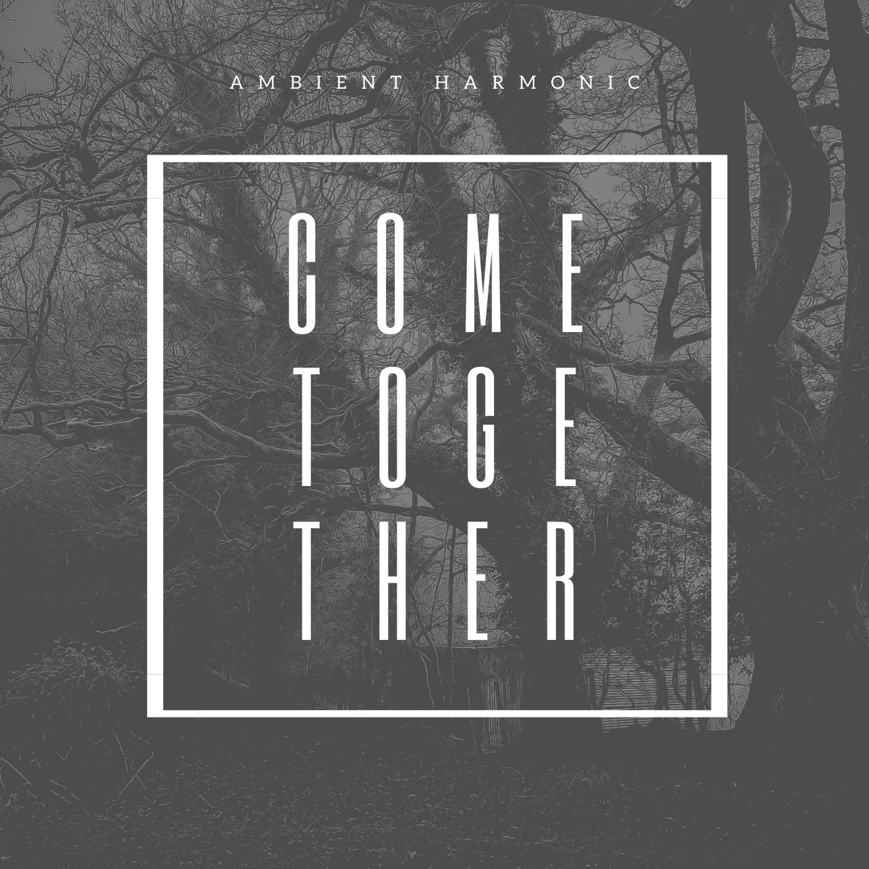 Ambient Harmonic (Mixes)