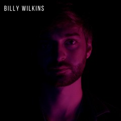 I Think She Likes Me - Billy Wilkins