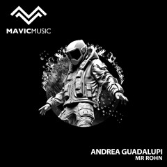 Andrea Guadalupi - Mr Rohn (Original Mix)