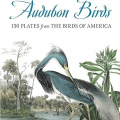 (❤️PDF)FULL✔READ Treasury of Audubon Birds: 130 Plates from The Birds of America