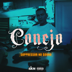 Suppressor No Sound