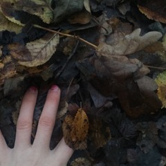 How does it feel to be alive / Negar Ghaderi