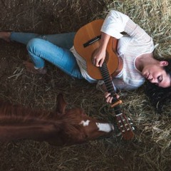 Barnyard Slide