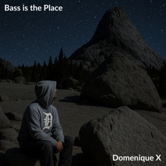 Domenique Xander - Bass Is The Place (Snippet) OUT NOW!
