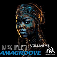 AMAGROOVE VOL 43